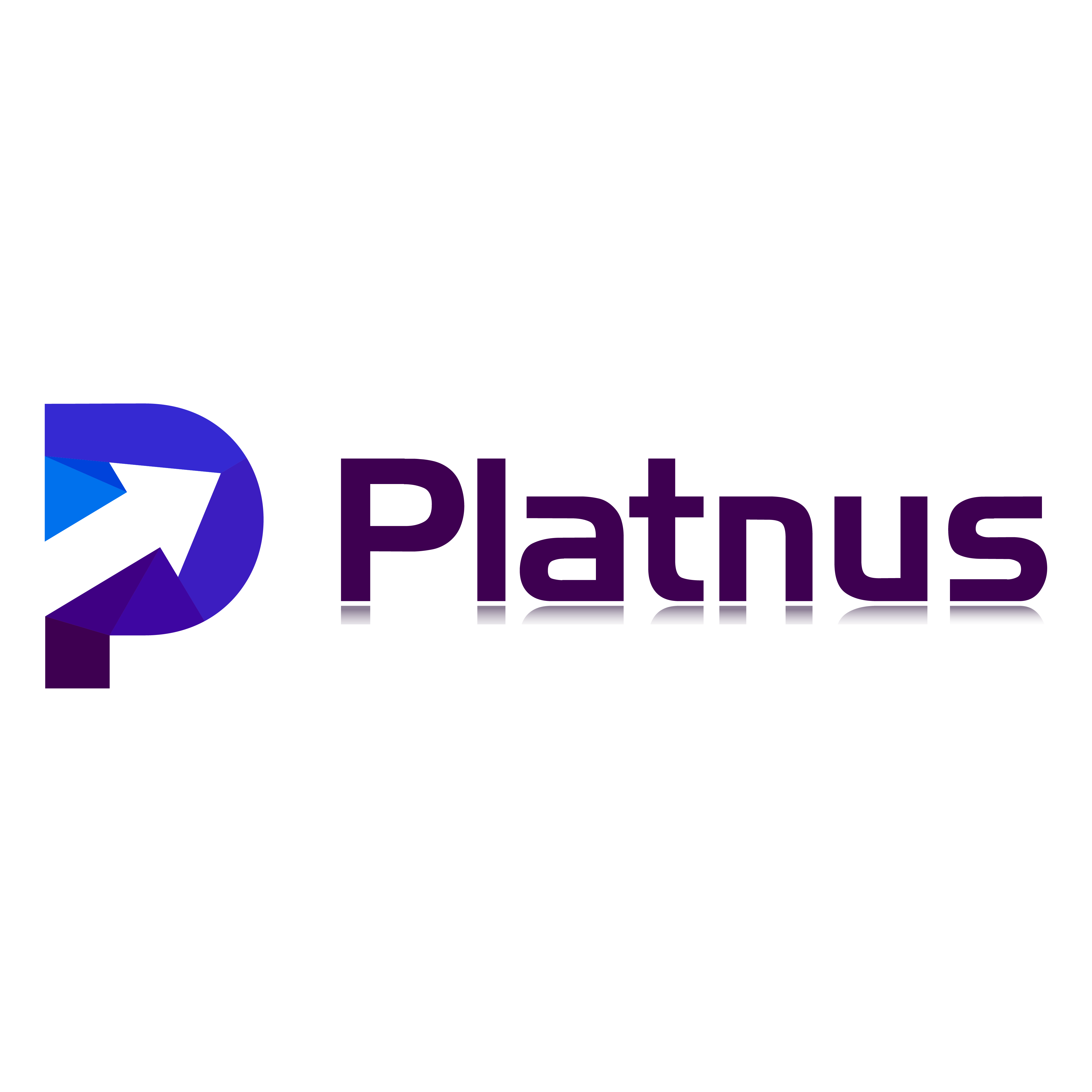 Platnus Logo